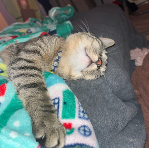 Meet your Posher, Talia